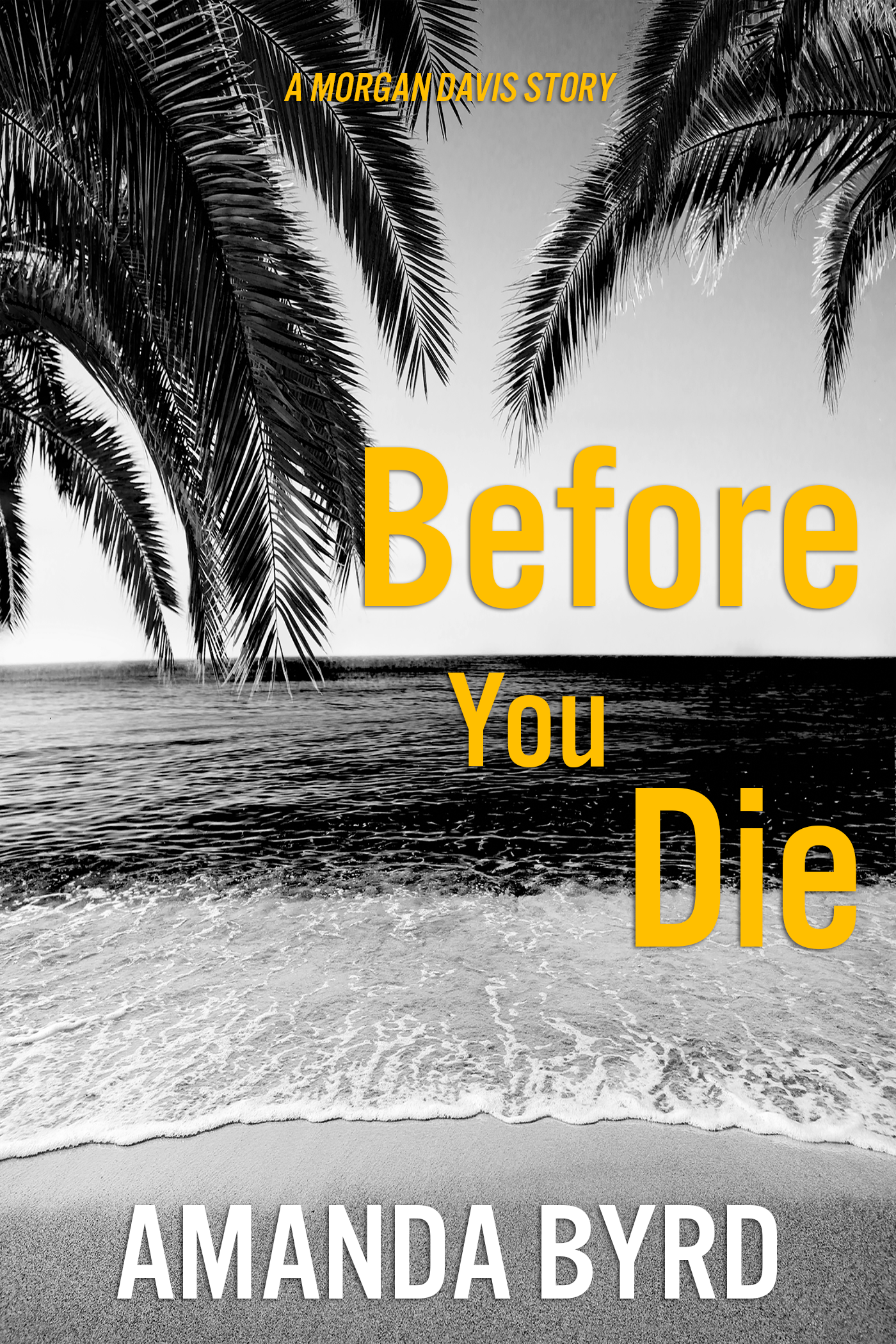 Before You Die (Morgan Davis Serials #2)